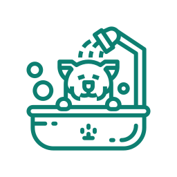 Expert Grooming Care Expert Grooming Care