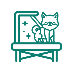 Grooming in Vadodara Grooming in Vadodara