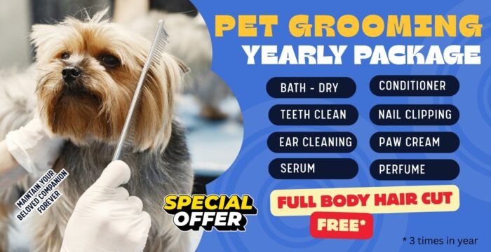 Yearly Full Dog Grooming Package Yearly Full Dog Grooming Package